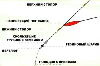 Ponty horgászat éjjel 