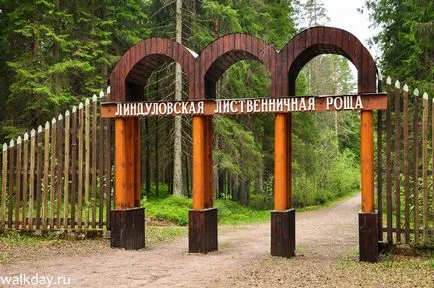 Lindulovskaya Гроув, walkday