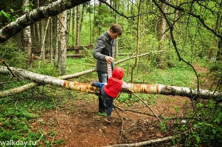 Lindulovskaya Grove, walkday