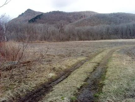 În mod logic, căutarea fără succes elomovskogo Falls stele la malul mării pe vena Paramonov, cercetare