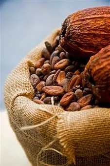 Cacao proprietăți de utilizare unt de aplicare