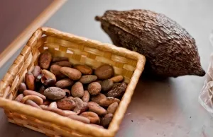 какаово масло кашлица - рецепти за използването на деца