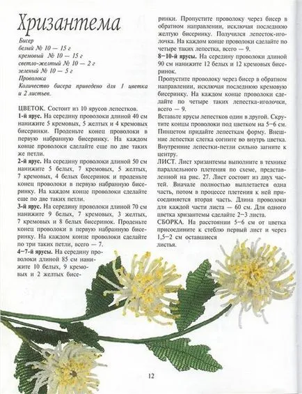 Master class - crizantema margele - clasa de master (ciubuc) - 22 31 - Lecții de la utilizator