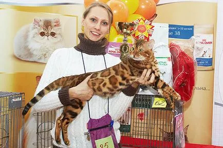 Международната Cat Show септември 30 1 октомври International Cat Show - Купа Валенсия,