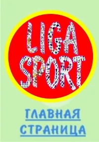 numere de aplicație și logo-uri pe sport, broderie (495) 788 60 54