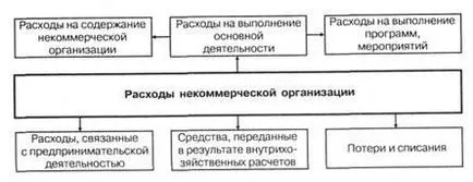 O organizație non-profit, contabilitate și fiscalitate, venituri și cheltuieli