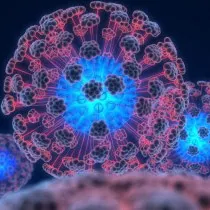 papilomavirus filamentoși (akrohordy) ce este și cum să trateze