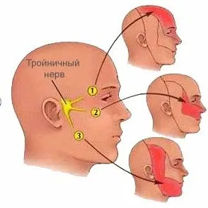 Нос чувства причини лечение миризма