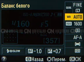 Prezentare generală nikon D3200 - moduri de afișare meniu ecran în controlul parametrilor Nikon SLR 3200