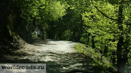 Orekhovsky Soci, drumurile din lume