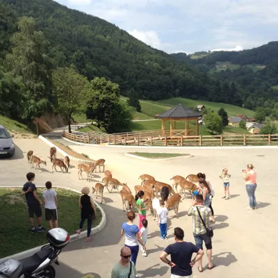 Üdülés Szlovéniában 2016 termálforrás és spa hotel