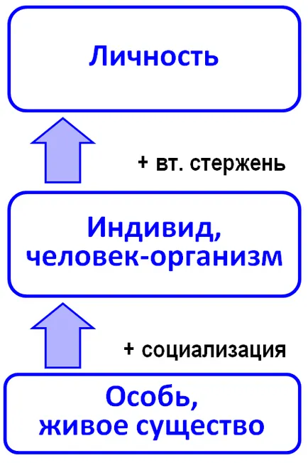 Egyén, a személyiség