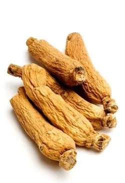 Hasznos tulajdonságai ginseng