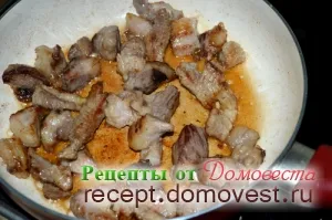 carne de porc - Fried rețete de la domovesta