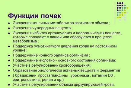 Полезни и вредни продукти за хранене в Kidney бъбречно заболяване