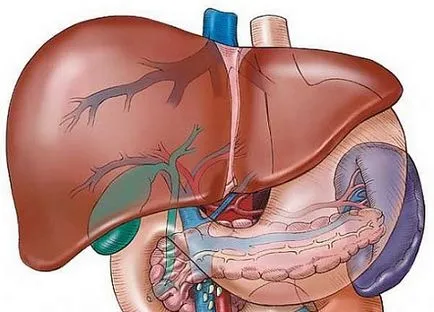 Поликистозен чернодробна предизвика симптоми образуване на кисти в черния дроб