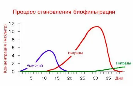 Határozottabb dob akvárium A-ból B - a teljes útmutató