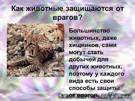 Előadás hogyan állatok védve vannak ellenségei végrehajtott tanár litseya180 Novgorod