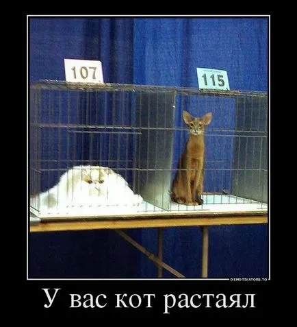 Смешни demotivators за всички поводи