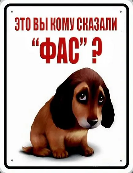 semn Funny pe ușă