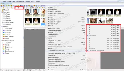 Programul XnView - vizionare ușoară și prelucrare fotografii