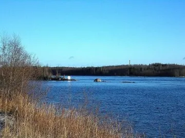 Svir River - Pescuit de specii de pești și cum să prindă toate râurile din regiunea Leningrad harta adâncimi de specii de pești