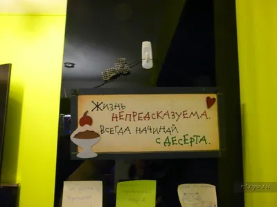 република котки