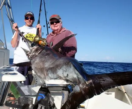 spadă de captură Swordfish, teoria și practica de campioni și titularii de înregistrări Seychelles