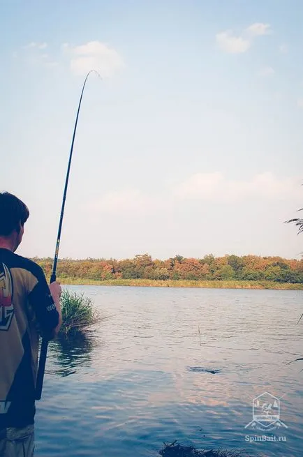 Риболов в южните райони и наваксване тилапия