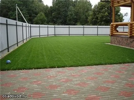 Turf, osadovod - toate Sade, gradina si design