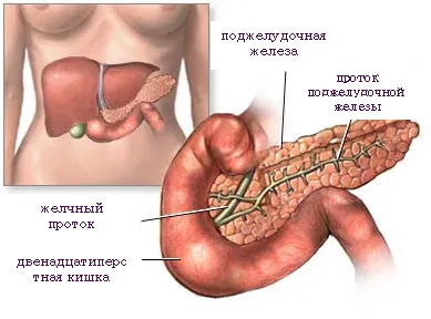 Diabetes mellitus tibeti orvoslás