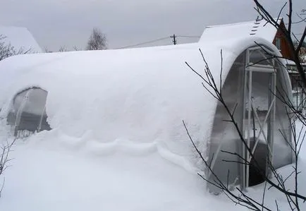 Hogyan lehet a téli fűtési üvegházak - lehetőségek és módszerek példát video fotó