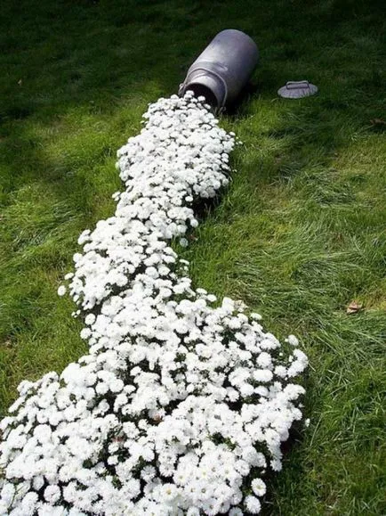 Hogyan, hogy egy szokatlan virágágyás a hulladék anyagok - saját kezűleg