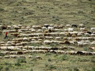 Caucazul de Nord populație, industrie și agricultură