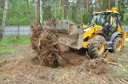 Mennyibe kerül a tisztító külvárosi területen a fák és cserjék, a föld ára elszámolási fák