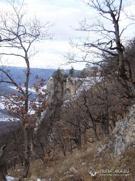 thunderbolt Scala (Adygea)