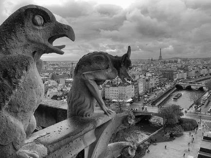 Notre Dame - Notre-Dame (Notre Dame de Paris), monumente