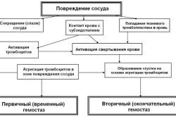 Съсирване на кръвта етапи, фактори и механизми