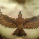 Hawk tatuaj - valoare, schițe și echipamente de desen