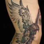 Hawk tatuaj - valoare, schițe și echipamente de desen