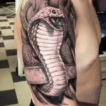 Tattoo kobra lehetőségek vázlatok, végrehajtás stílus, fotó