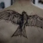 Hawk tatuaj - valoare, schițe și echipamente de desen