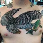 Hawk tatuaj - valoare, schițe și echipamente de desen