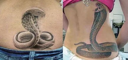 Tattoo kobra lehetőségek vázlatok, végrehajtás stílus, fotó