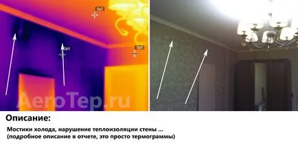 Thermographing apartmanok Moszkva és környéke