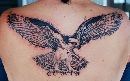 Hawk tatuaj - valoare, schițe și echipamente de desen