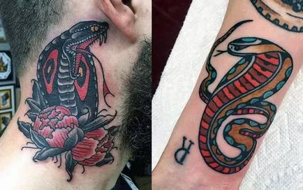 Tattoo kobra lehetőségek vázlatok, végrehajtás stílus, fotó