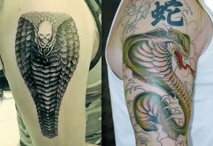 Tattoo kobra lehetőségek vázlatok, végrehajtás stílus, fotó