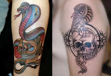 Tattoo kobra lehetőségek vázlatok, végrehajtás stílus, fotó