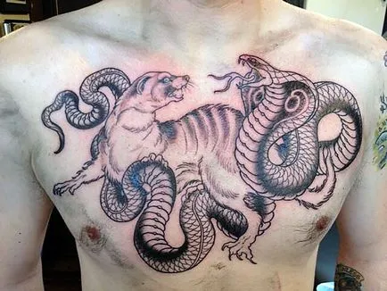 Tattoo kobra lehetőségek vázlatok, végrehajtás stílus, fotó